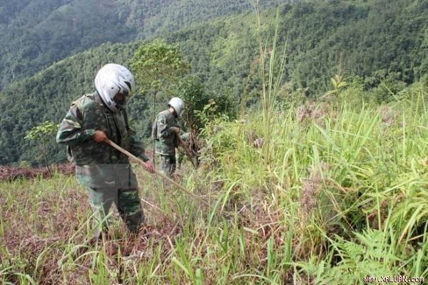 Republik Korea memberikan latihan teknik memeriksa dan menjinakkan bom dan ranjau kepada Vietnam - ảnh 1