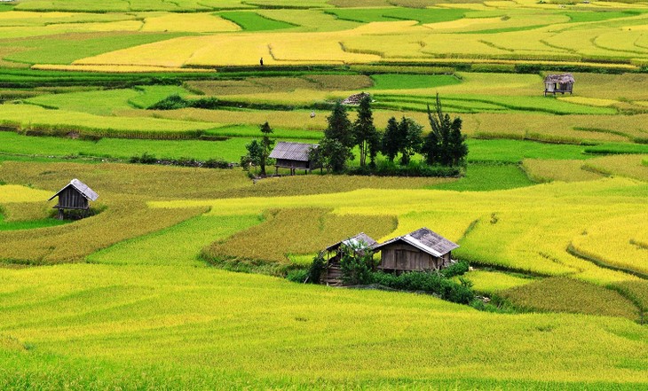 Konferensi sosialisasi dan  promosi investasi pariwisata di daerah Tay Bac - ảnh 1