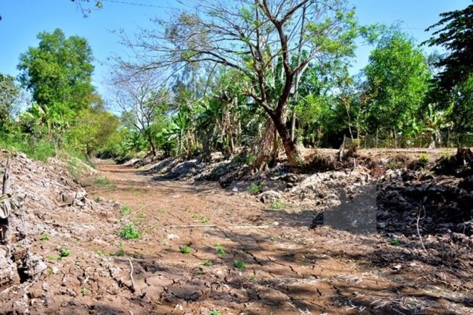 Meningkatkan pemahaman masyarakat tentang penanggulangan bencana alam dan musibah di Vietnam - ảnh 1