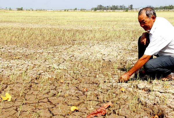 Menjelaskan tentang situasi kekeringan dan keasinan di Vietnam sekarang  - ảnh 1