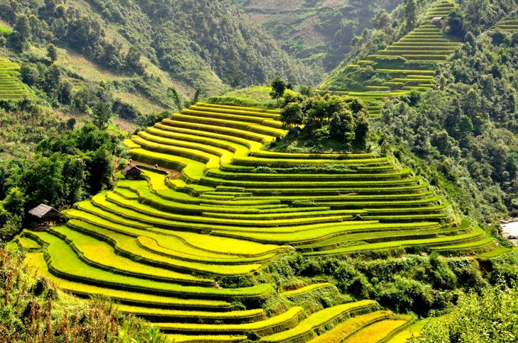 Meningkatkan masa tanam di sawah terasering di kabupaten Mu Cang Chai - ảnh 1