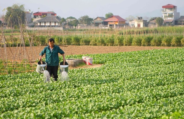 Kecamatan Tuy Loc, kota Yen Bai mencapai patokan pedesaan baru - ảnh 1