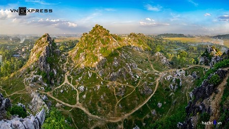 Musim panenan padi  kuning di kaki gunung Tram di peluaran ibukota Hanoi - ảnh 6