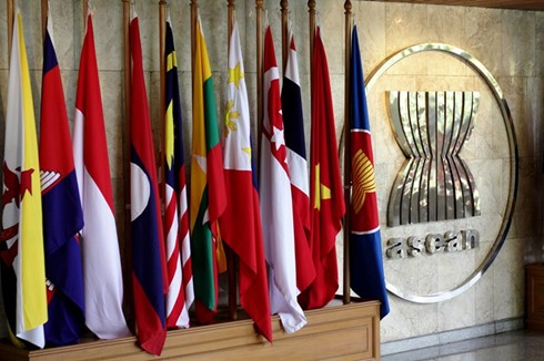 ASEAN mempersiapkan KTT ASEAN yang ke-28 dan ke-29 - ảnh 1