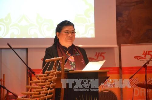 Wakil Ketua MN Tong Thi Phong menghadiri aktivitas peringatan ultah ke-45 pengglangan hubungan diplomatik Vietnam-Swiss - ảnh 1