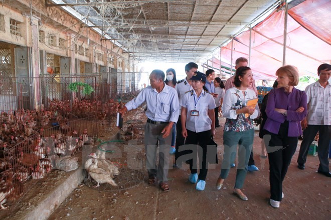 AS dan Vietnam bekerjasama mencegah wabah penyakit dan membela kesehatan rakyat - ảnh 1