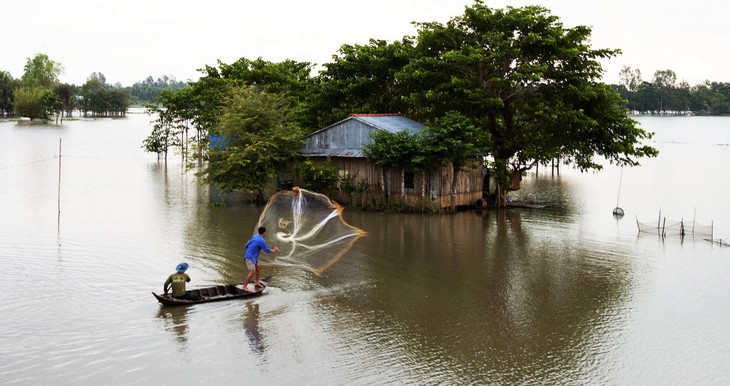 Kaum tani propinsi Dong Thap mencari nafkah pada musim air pasang - ảnh 1