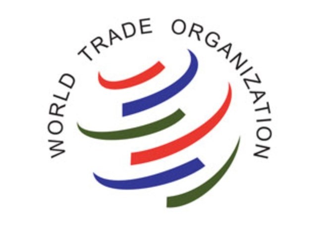 Negara-negara anggota WTO belum mencapai kesepakatan tentang permufakatan EGA - ảnh 1