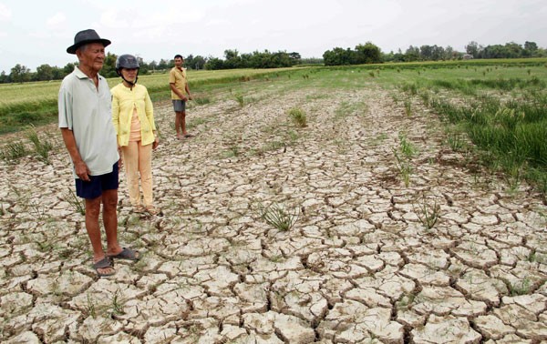 Jepang berkomitmen akan terus membantu Vietnam menghadapi perubahan iklim - ảnh 1