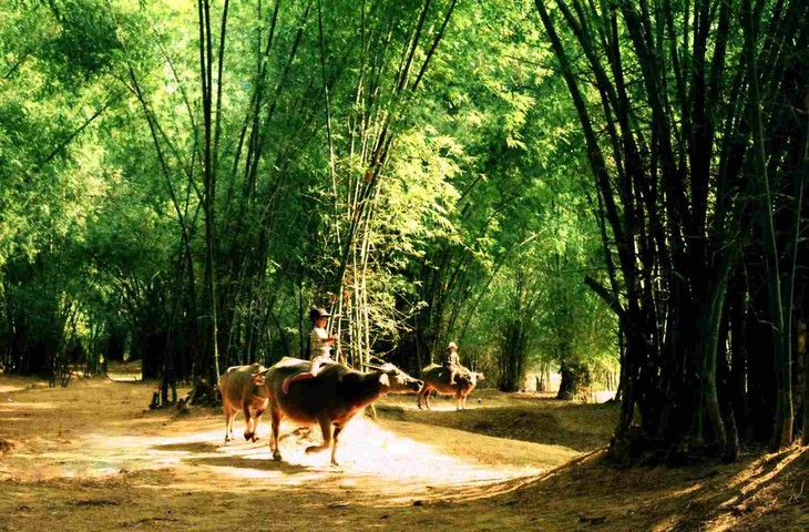 Struktur khas desa tradisional Vietnam - ảnh 1