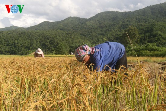 Vietnam menyerukan kepada para mitra supaya terus bekerjasa untuk membantu Vietnam mengentas dari kelaparan dan kemiskinan - ảnh 1