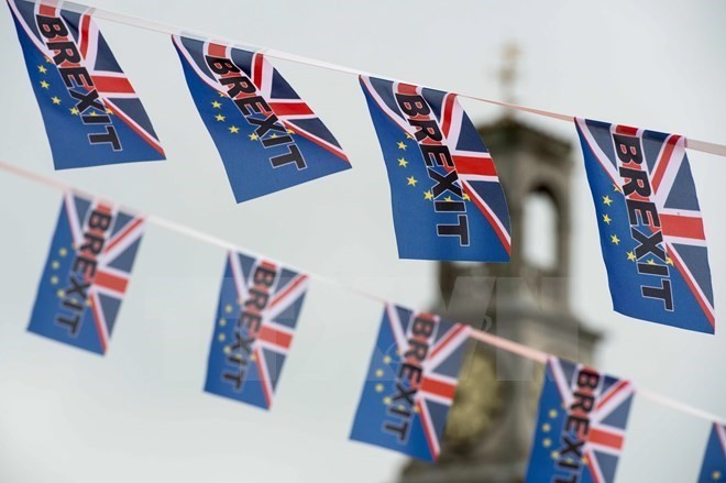 Masalah Brexit : Inggris harus menaati undang-undang Uni Eropa pada periode transisi - ảnh 1