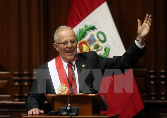 Prosentase pendukung Presiden Peru menurun secara drastis - ảnh 1