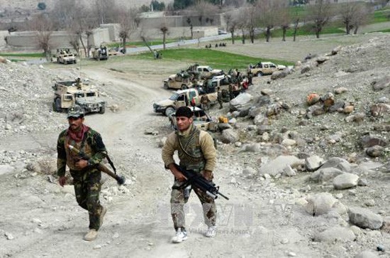 IS membunuh 18 serdadu  di Afghanistan Timur - ảnh 1