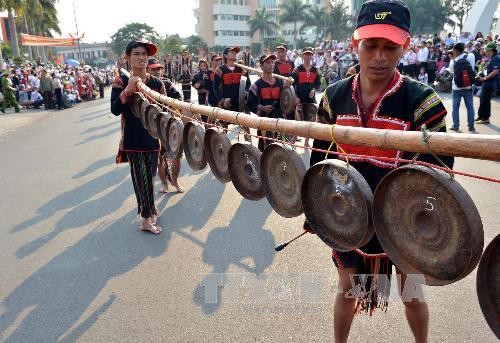 Mengembangkan identitas budaya khas dari warga etnis minoritas daerah Tay Nguyen - ảnh 1