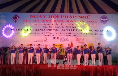 Festival ke-20 Francophonie daerah dataran rendah sungai Mekong - ảnh 1