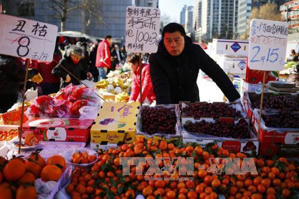 Resmi membuka lini kapal laut untuk mengangkut buah-buahan antara ASEAN dan Tiongkok - ảnh 1