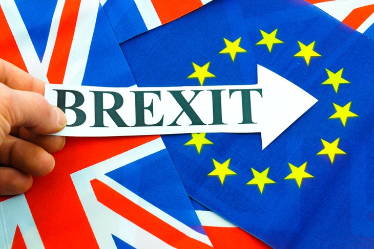 Opini umum dunia setelah Inggris dengan resmi memulai Brexit - ảnh 1