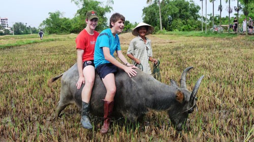 Penjelasan singkat tentang jasa homestay di Vietnam - ảnh 1