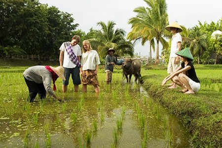 Penjelasan tentang jasa homestay di Vietnam - ảnh 1