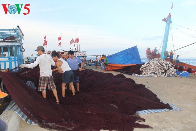  Kehidupan sehari hari di kabupaten pulau Ly Son - ảnh 3