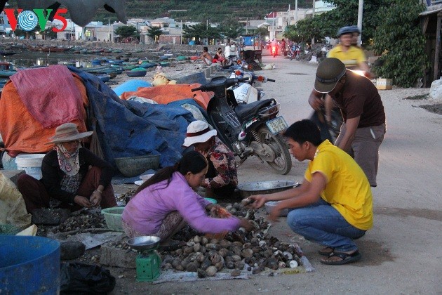  Kehidupan sehari hari di kabupaten pulau Ly Son - ảnh 18