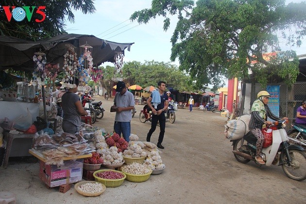  Kehidupan sehari hari di kabupaten pulau Ly Son - ảnh 19