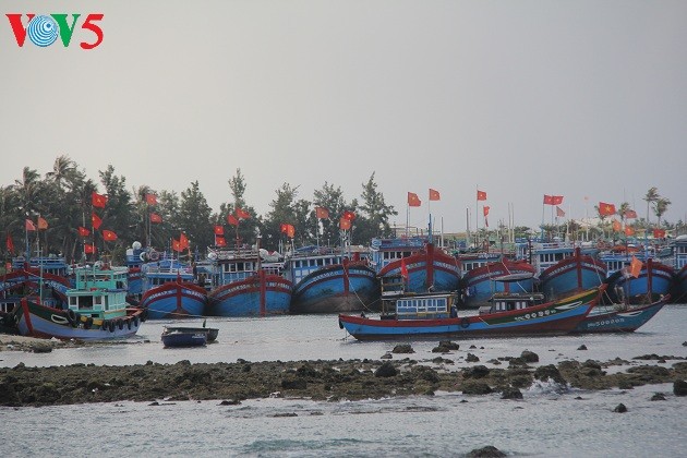  Kehidupan sehari hari di kabupaten pulau Ly Son - ảnh 1