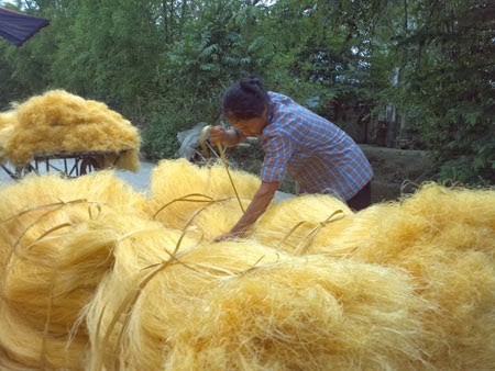 Desa pembuatan soun Cu Da - ảnh 2