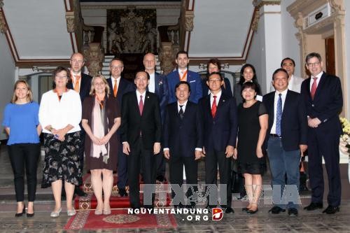  Kota Ho Chi Minh memperkuat kerjasama dengan Belanda untuk mengembangkan pertanian teknologi tinggi - ảnh 1