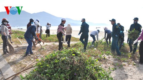 Kota Da Nang melakukan mobilisasi umum untuk kebersihan menyambut Pekan Tingkat Tinggi APEC - ảnh 1