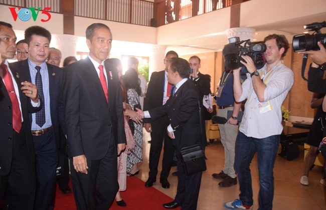 Presiden Indonesia, Joko Widodo tiba di Vietnam untuk menghadiri Pekan Tingkat Tinggi APEC 2017 - ảnh 7