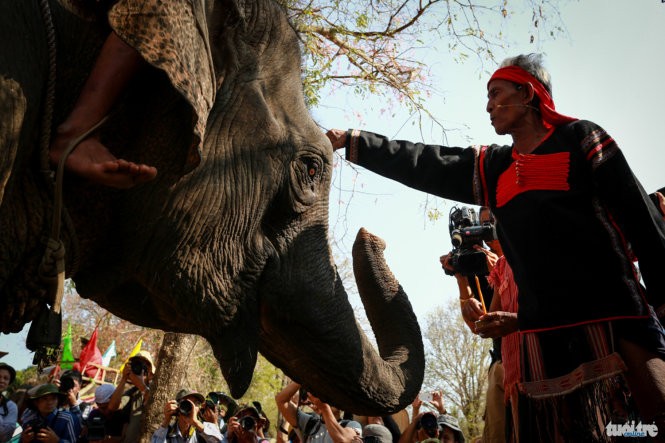 Adat memberi sedekah kepada kesehatan gajah dari warga etnis minoritas M’nong - ảnh 1