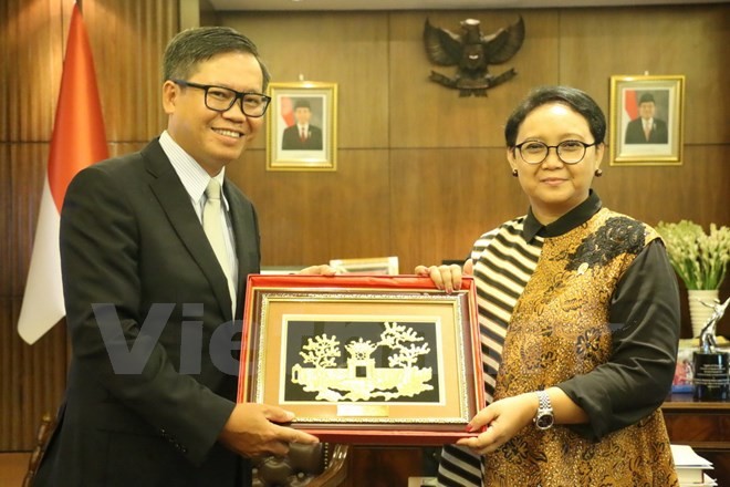  Vietnam dan Indonesia memberikan sumbangan positif kepada ASEAN - ảnh 1