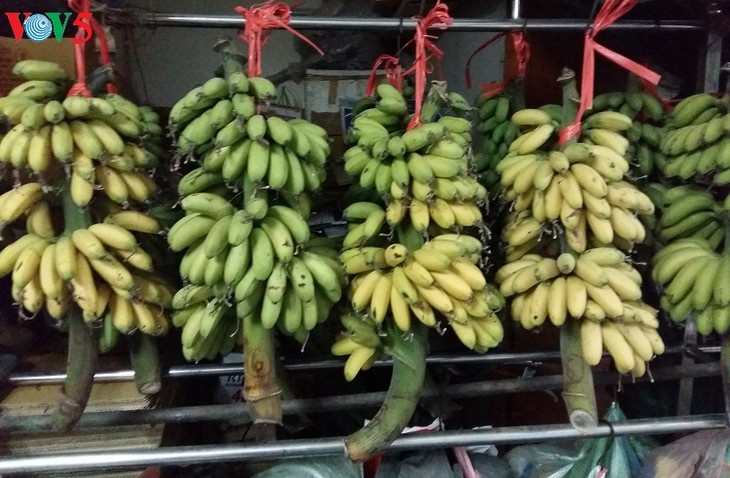 Hasilan pisang emas di Desa Dai Hoang - ảnh 1