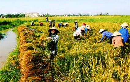 Melakukan promosi dagang, teknologi menyerap modal pada koperasi Lokakarya Promosi Dagang, Teknologi - ảnh 1