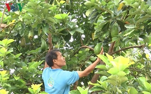 Cao Van Nguyen, orang yang membuka arah membantu kaum tani  mencapai kesejahteraan - ảnh 1