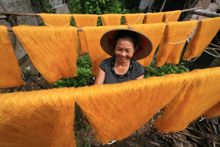 Memandangi kecantikan wanita Vietnam ketika sedang bekerja - ảnh 4