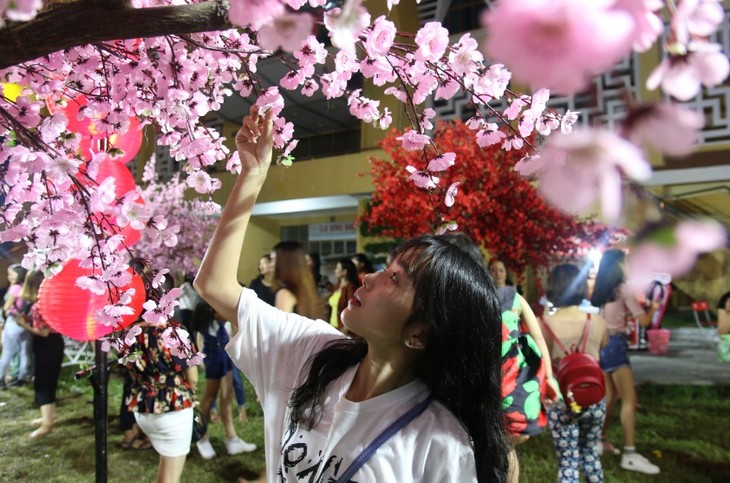 Kota Hanoi mengadakan Festival bunga Sakura  pada Maret 2019 - ảnh 1