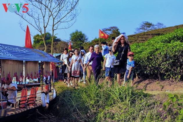 Pulau teh Thanh Chuong menyerap kedatangan wisatawan sehubungan dengan Hari Raya Tet - ảnh 6