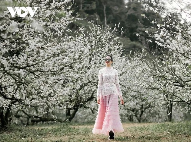 ផ្ការីកស្គុះស្គាយនាដើមសិសិររដូវនៅលើខ្ពង់រាប Moc Chau - ảnh 2