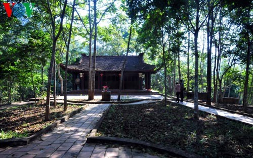  Ba Be National Park - a recognized wetland of international importance  - ảnh 10