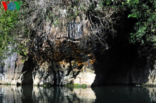  Ba Be National Park - a recognized wetland of international importance  - ảnh 5