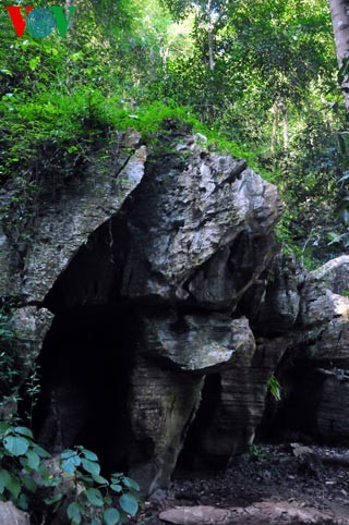  Ba Be National Park - a recognized wetland of international importance  - ảnh 9