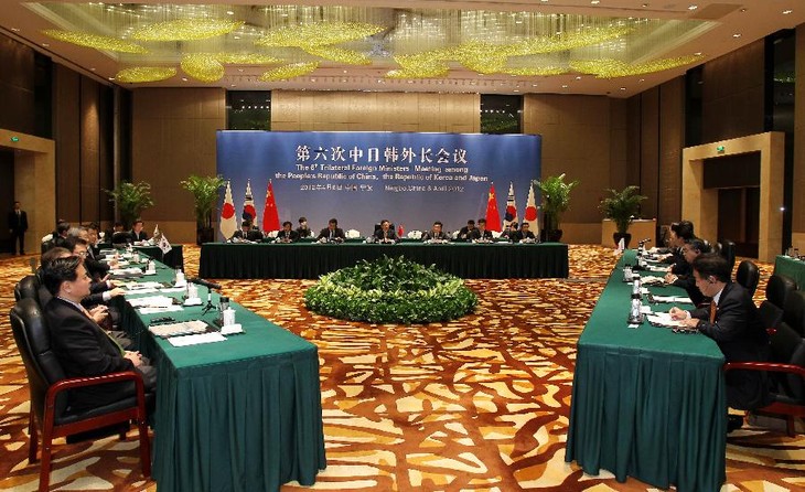 FMs of China, Japan, Republic of Korea discuss regional issue - ảnh 1