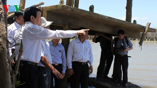 Sea dyke- part of Vietnam’s national development strategy - ảnh 1