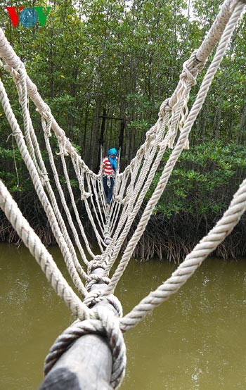 A visit to Can Gio World Biosphere Reserve  - ảnh 3