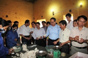 Deputy Prime Minister visits Ha Nam province - ảnh 1