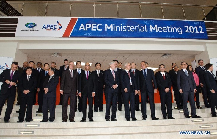 APEC Ministers meet ahead of summit - ảnh 1