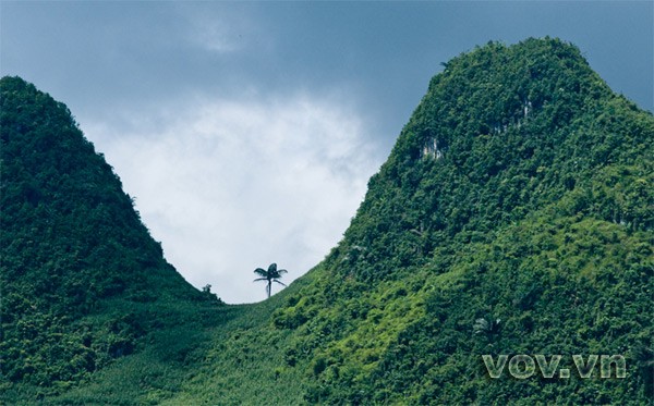 Famous mountain range in Lao Cai  - ảnh 10